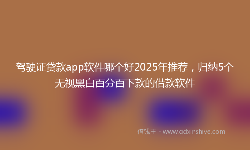 驾驶证贷款app软件哪个好2025年推荐，归纳5个无视黑白百分百下款的借款软件
