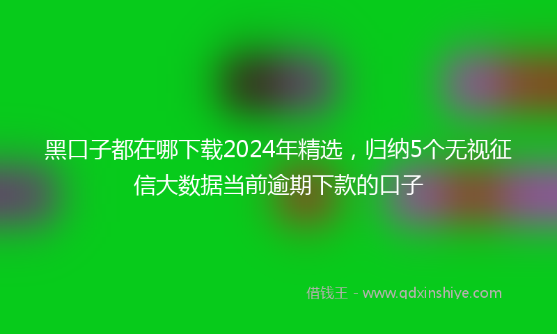 黑口子都在哪下载2024年精选，归纳5个无视征信大数据当前逾期下款的口子