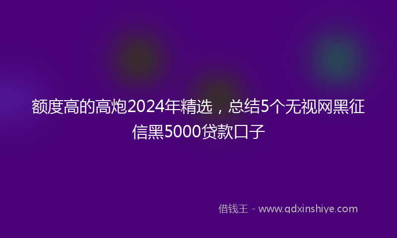额度高的高炮2024年精选，总结5个无视网黑征信黑5000贷款口子