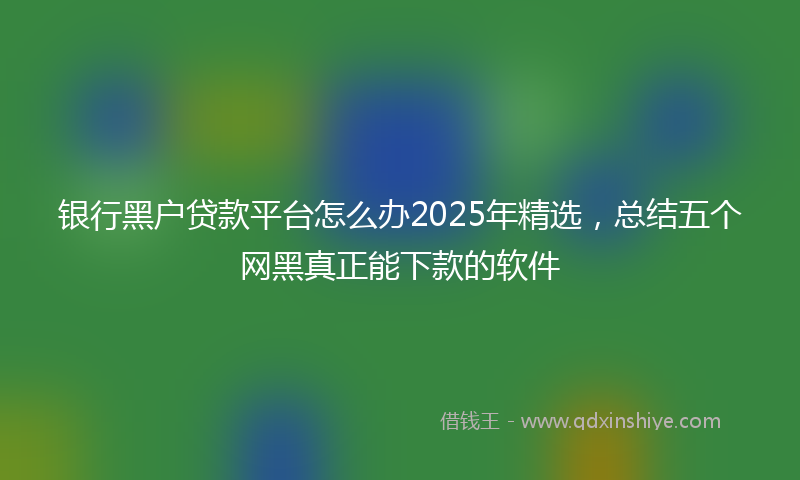 银行黑户贷款平台怎么办2025年精选，总结五个网黑真正能下款的软件