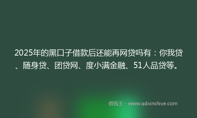 2025年的黑口子借款后还能再网贷吗有：你我贷、随身贷、团贷网、度小满金融、51人品贷等。