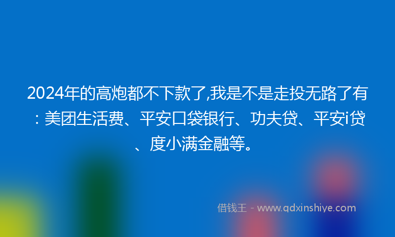 2024年的高炮都不下款了,我是不是走投无路了有：美团生活费、平安口袋银行、功夫贷、平安i贷、度小满金融等。