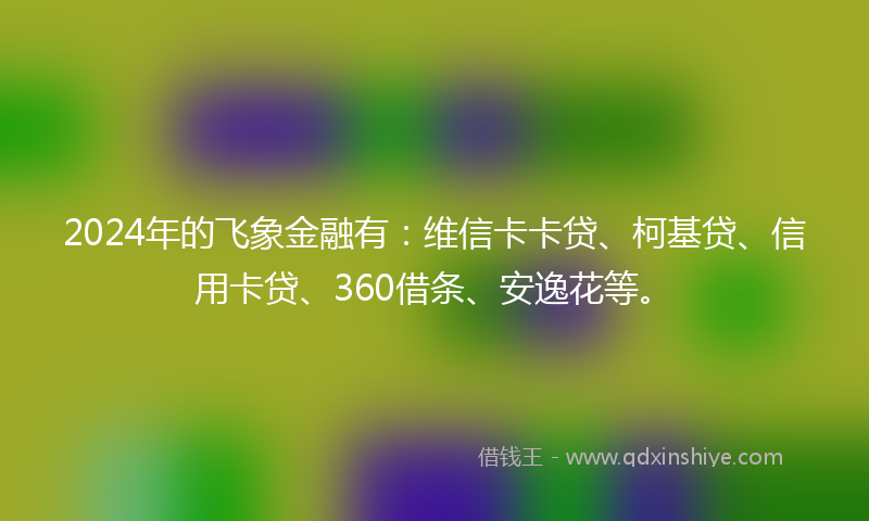 2024年的飞象金融有：维信卡卡贷、柯基贷、信用卡贷、360借条、安逸花等。
