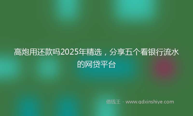 高炮用还款吗2025年精选，分享五个看银行流水的网贷平台