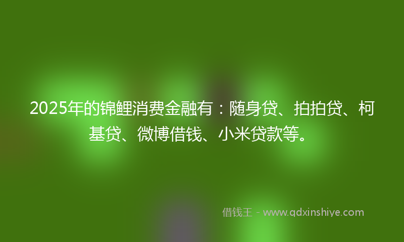 2025年的锦鲤消费金融有：随身贷、拍拍贷、柯基贷、微博借钱、小米贷款等。