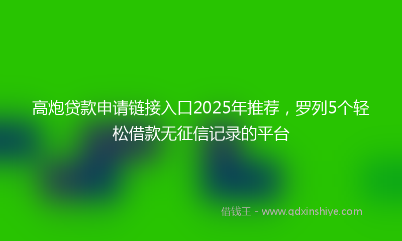 高炮贷款申请链接入口2025年推荐，罗列5个轻松借款无征信记录的平台