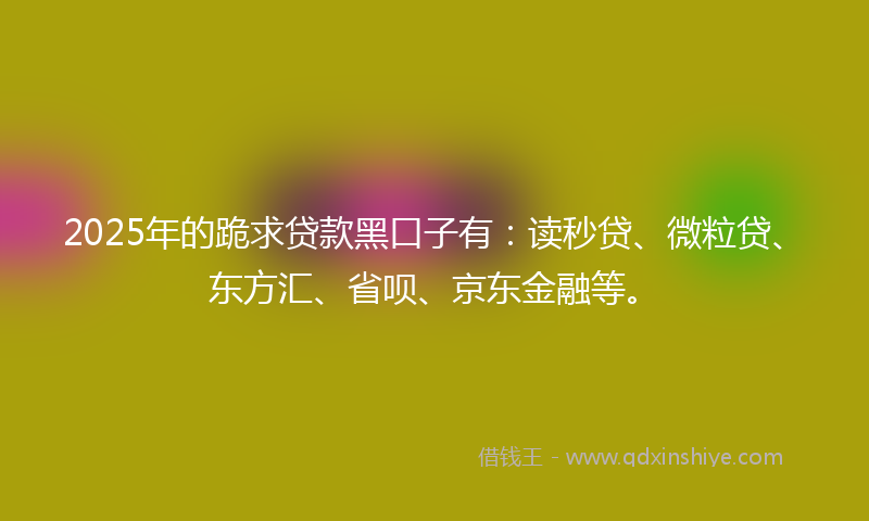 2025年的跪求贷款黑口子有：读秒贷、微粒贷、东方汇、省呗、京东金融等。