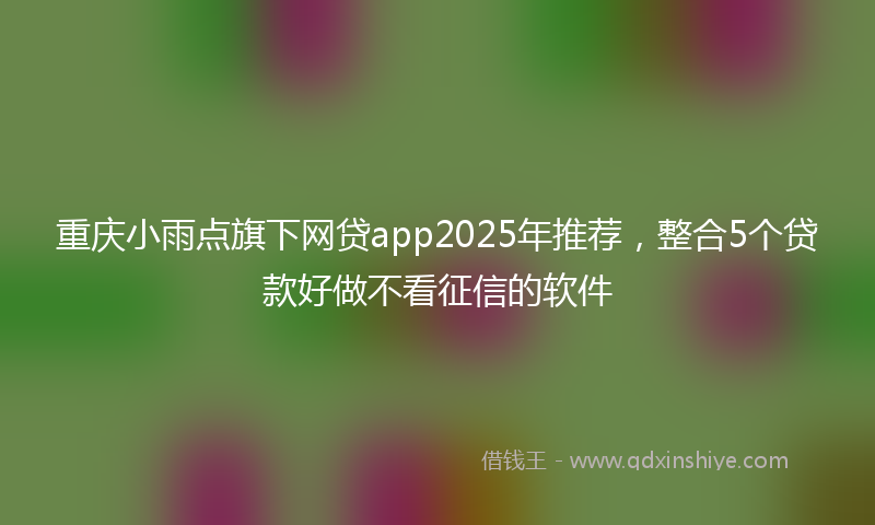 重庆小雨点旗下网贷app2025年推荐，整合5个贷款好做不看征信的软件
