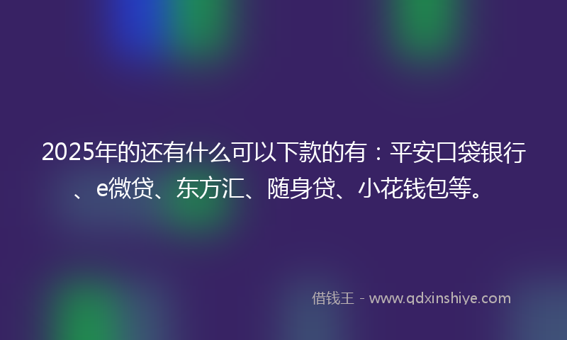 2025年的还有什么可以下款的有：平安口袋银行、e微贷、东方汇、随身贷、小花钱包等。