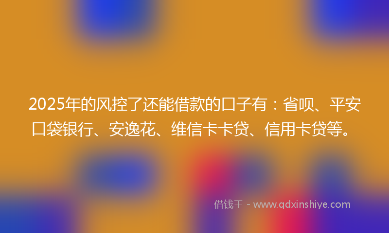 2025年的风控了还能借款的口子有：省呗、平安口袋银行、安逸花、维信卡卡贷、信用卡贷等。