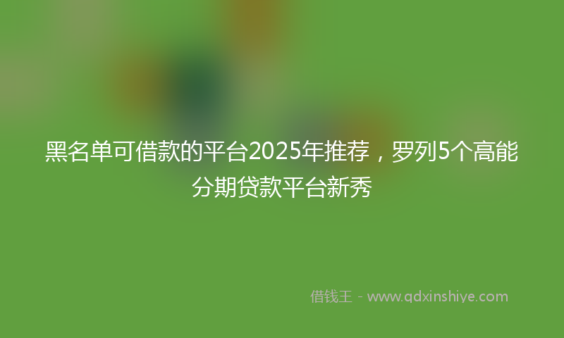 黑名单可借款的平台2025年推荐，罗列5个高能分期贷款平台新秀