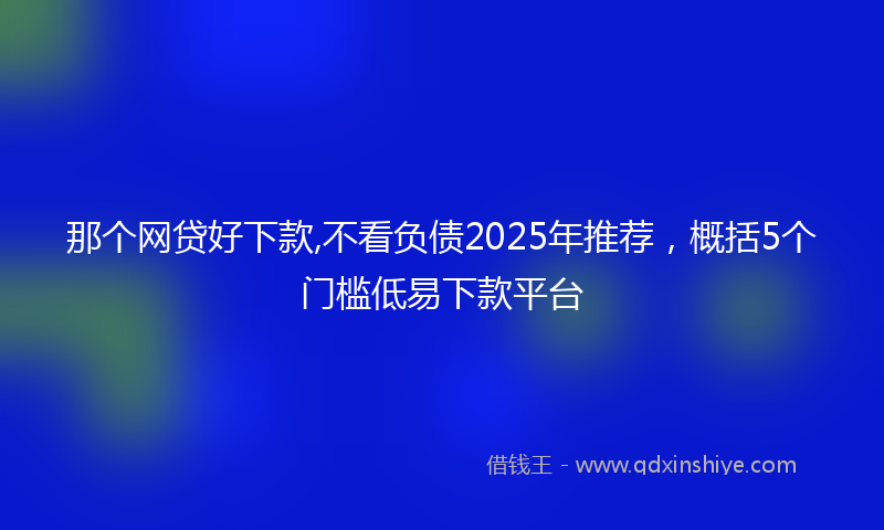 那个网贷好下款,不看负债2025年推荐，概括5个门槛低易下款平台