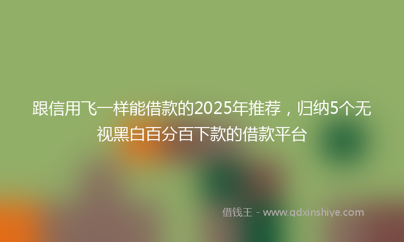 跟信用飞一样能借款的2025年推荐，归纳5个无视黑白百分百下款的借款平台