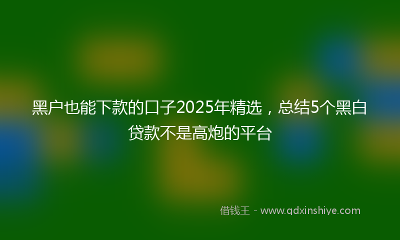黑户也能下款的口子2025年精选，总结5个黑白贷款不是高炮的平台
