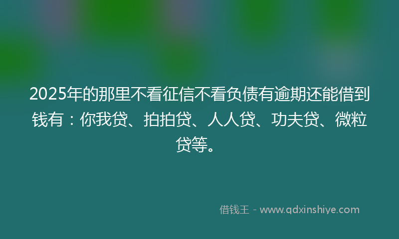 2025年的那里不看征信不看负债有逾期还能借到钱有：你我贷、拍拍贷、人人贷、功夫贷、微粒贷等。