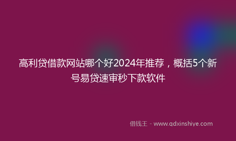 高利贷借款网站哪个好2024年推荐，概括5个新号易贷速审秒下款软件