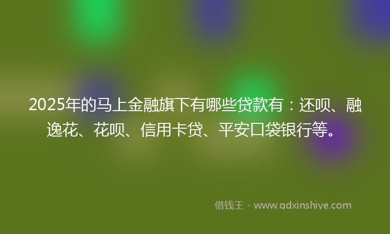 2025年的马上金融旗下有哪些贷款有：还呗、融逸花、花呗、信用卡贷、平安口袋银行等。