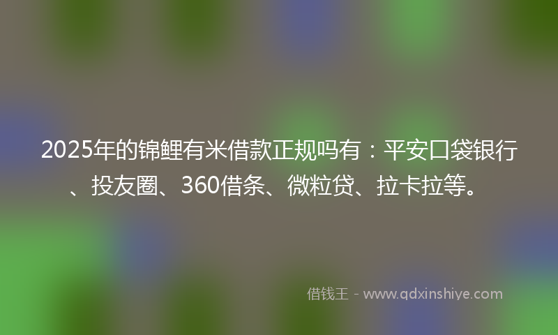 2025年的锦鲤有米借款正规吗有：平安口袋银行、投友圈、360借条、微粒贷、拉卡拉等。