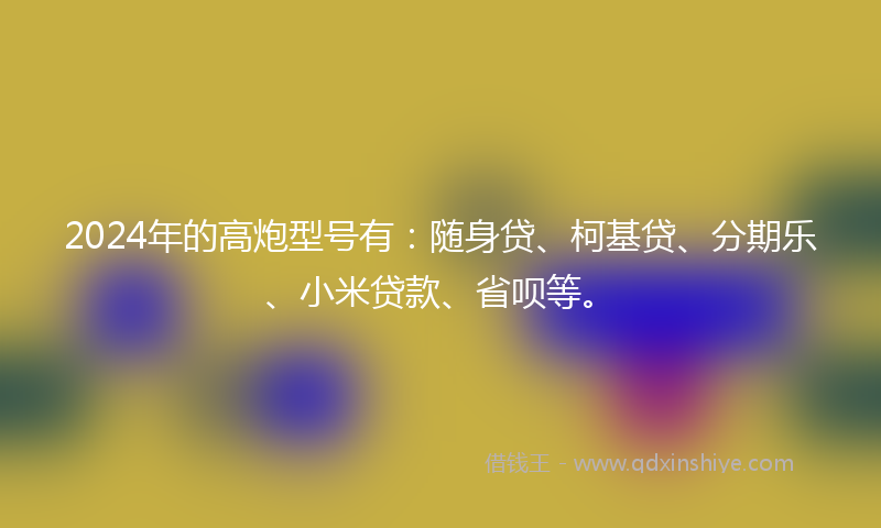 2024年的高炮型号有：随身贷、柯基贷、分期乐、小米贷款、省呗等。