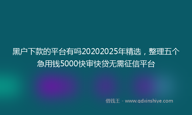 黑户下款的平台有吗20202025年精选，整理五个急用钱5000快审快贷无需征信平台