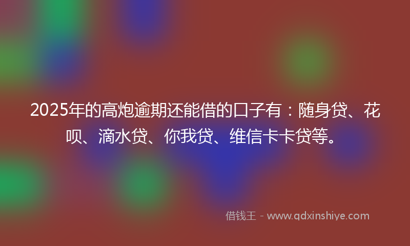 2025年的高炮逾期还能借的口子有：随身贷、花呗、滴水贷、你我贷、维信卡卡贷等。