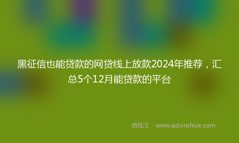 黑征信也能贷款的网贷线上放款2024年推荐，汇总5个12月能贷款的平台