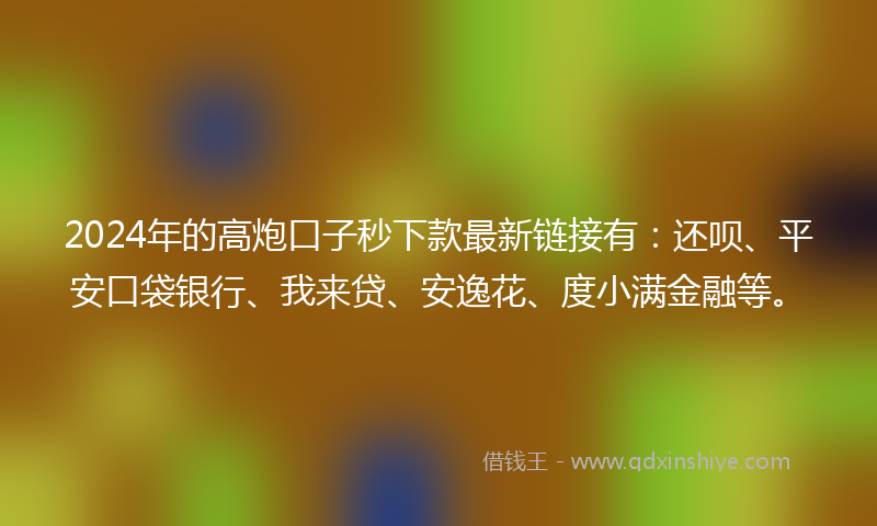 2024年的高炮口子秒下款最新链接有：还呗、平安口袋银行、我来贷、安逸花、度小满金融等。