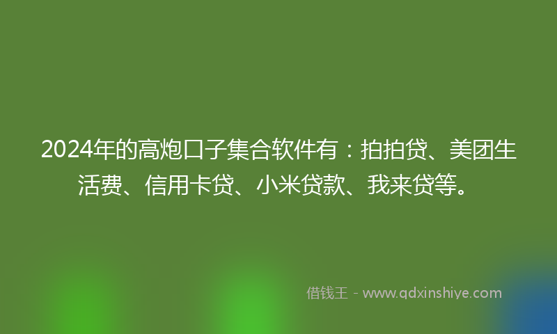 2024年的高炮口子集合软件有：拍拍贷、美团生活费、信用卡贷、小米贷款、我来贷等。