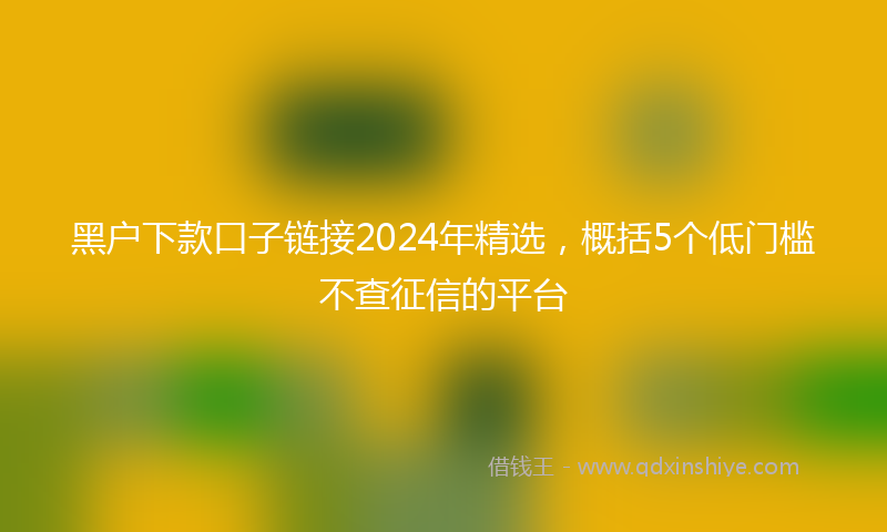 黑户下款口子链接2024年精选，概括5个低门槛不查征信的平台