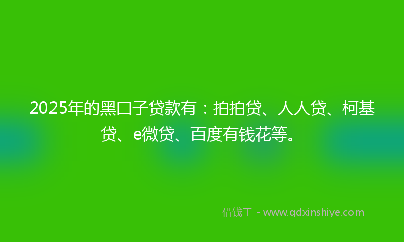 2025年的黑囗子贷款有：拍拍贷、人人贷、柯基贷、e微贷、百度有钱花等。
