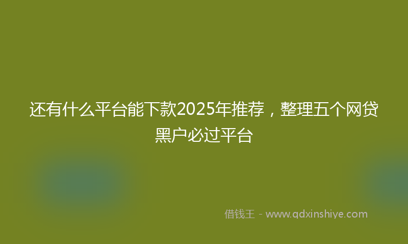 还有什么平台能下款2025年推荐，整理五个网贷黑户必过平台