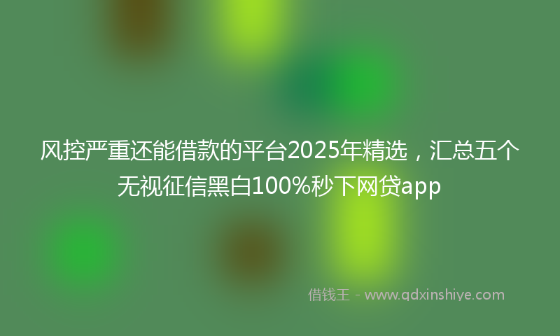 风控严重还能借款的平台2025年精选，汇总五个无视征信黑白100%秒下网贷app