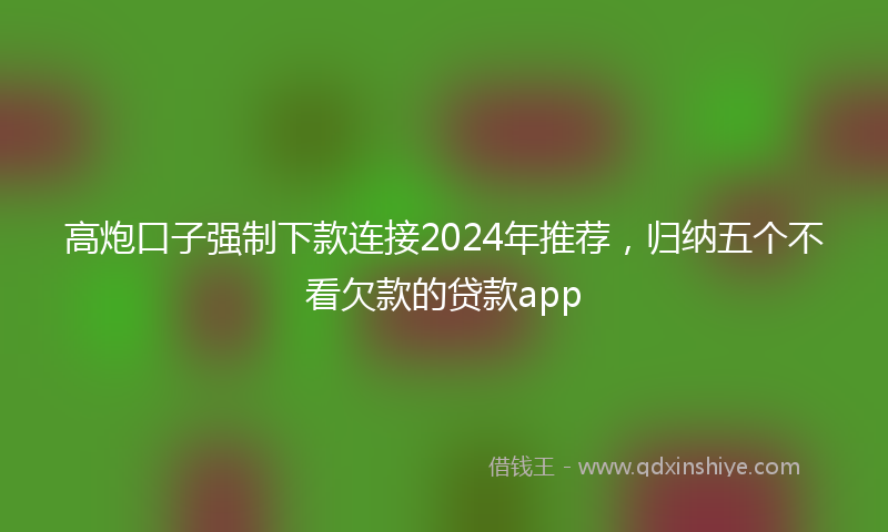 高炮口子强制下款连接2024年推荐，归纳五个不看欠款的贷款app