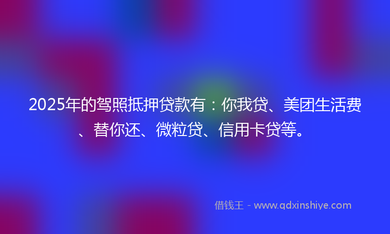 2025年的驾照抵押贷款有：你我贷、美团生活费、替你还、微粒贷、信用卡贷等。