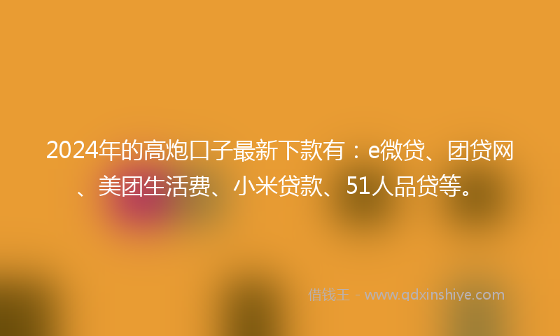 2024年的高炮口子最新下款有：e微贷、团贷网、美团生活费、小米贷款、51人品贷等。