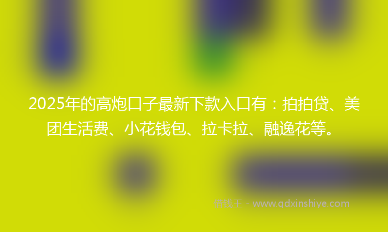 2025年的高炮口子最新下款入口有：拍拍贷、美团生活费、小花钱包、拉卡拉、融逸花等。