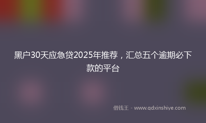 黑户30天应急贷2025年推荐，汇总五个逾期必下款的平台