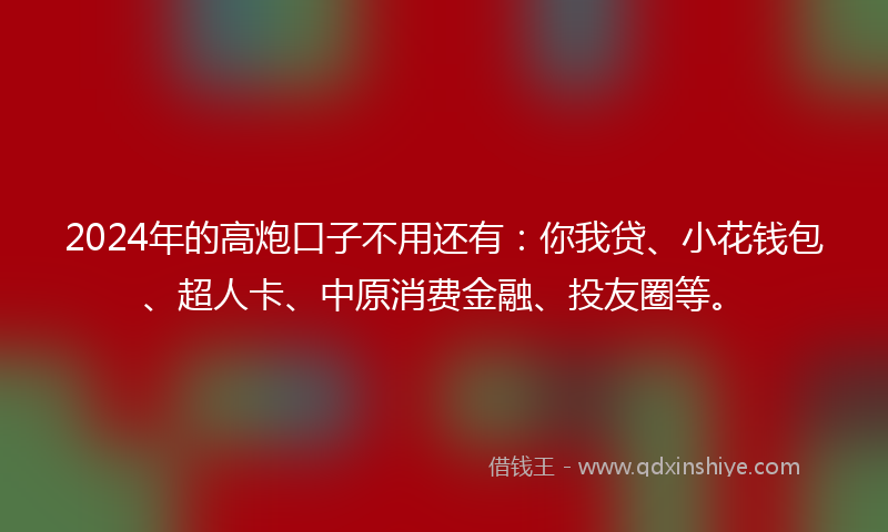 2024年的高炮口子不用还有：你我贷、小花钱包、超人卡、中原消费金融、投友圈等。