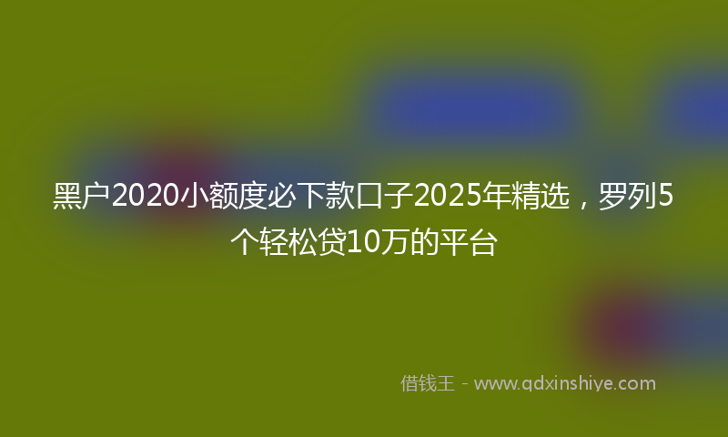 黑户2020小额度必下款口子2025年精选，罗列5个轻松贷10万的平台