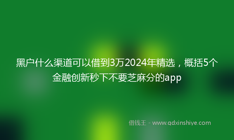 黑户什么渠道可以借到3万2024年精选，概括5个金融创新秒下不要芝麻分的app