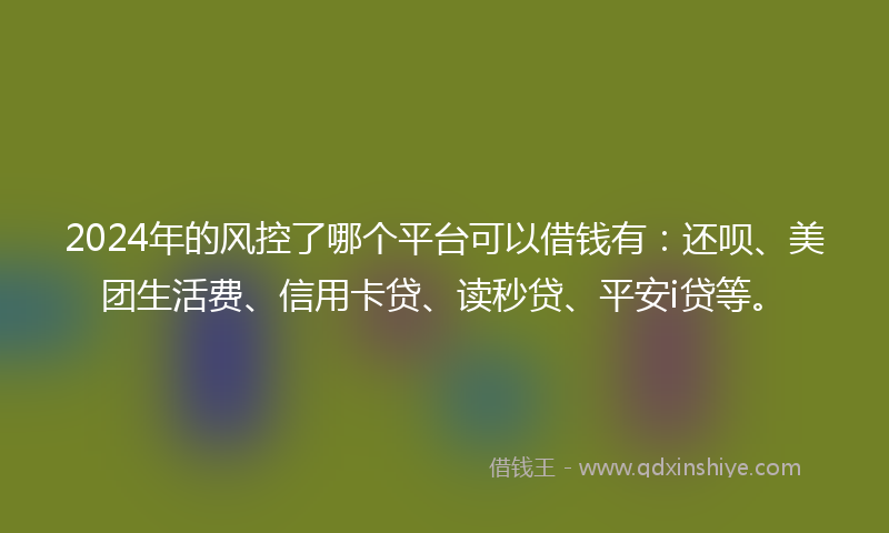 2024年的风控了哪个平台可以借钱有：还呗、美团生活费、信用卡贷、读秒贷、平安i贷等。
