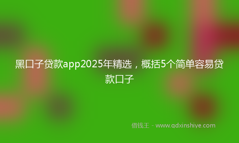 黑口子贷款app2025年精选，概括5个简单容易贷款口子