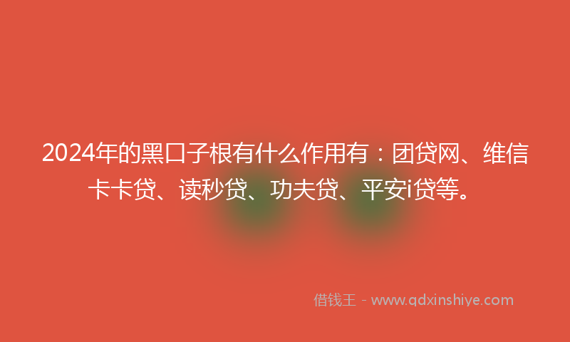 2024年的黑口子根有什么作用有：团贷网、维信卡卡贷、读秒贷、功夫贷、平安i贷等。
