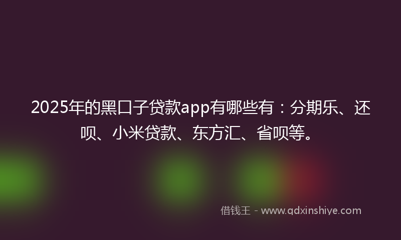 2025年的黑口子贷款app有哪些有：分期乐、还呗、小米贷款、东方汇、省呗等。