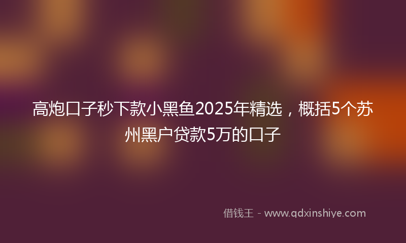 高炮口子秒下款小黑鱼2025年精选，概括5个苏州黑户贷款5万的口子
