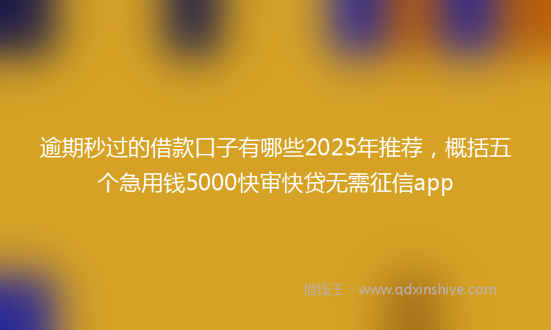 逾期秒过的借款口子有哪些2025年推荐，概括五个急用钱5000快审快贷无需征信app