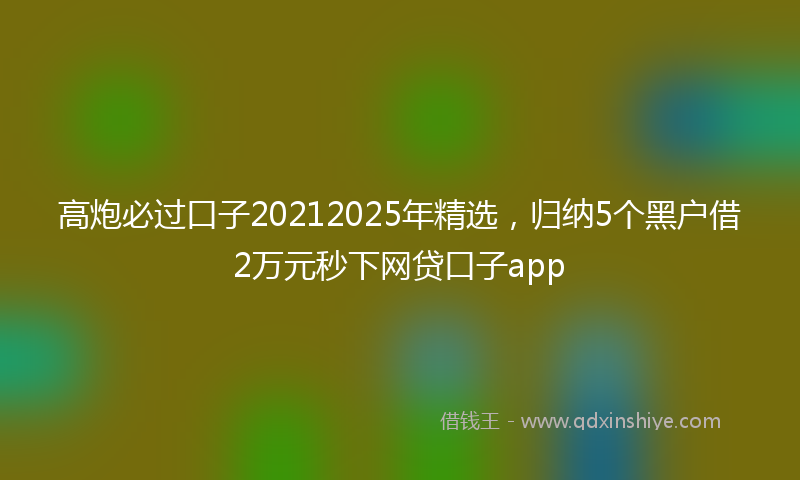 高炮必过口子20212025年精选，归纳5个黑户借2万元秒下网贷口子app