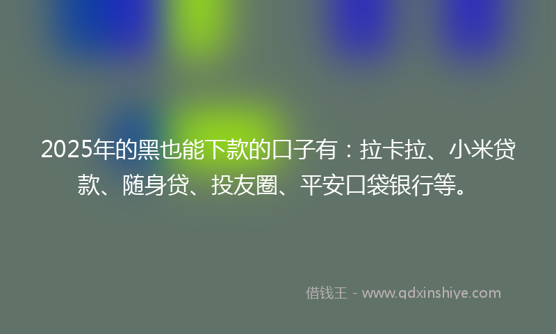 2025年的黑也能下款的口子有：拉卡拉、小米贷款、随身贷、投友圈、平安口袋银行等。