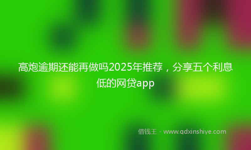 高炮逾期还能再做吗2025年推荐，分享五个利息低的网贷app