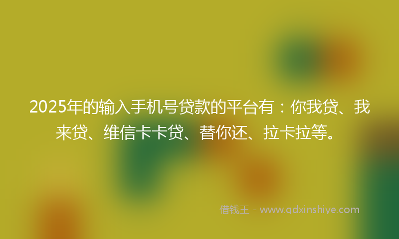 2025年的输入手机号贷款的平台有：你我贷、我来贷、维信卡卡贷、替你还、拉卡拉等。